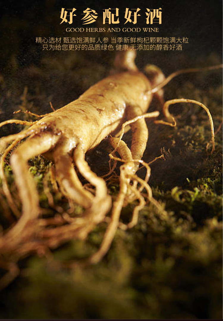 1670225743141222.jpg 慶葆堂參杞酒切片3.jpg